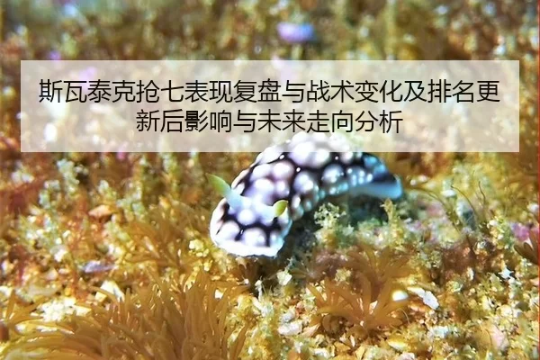 斯瓦泰克抢七表现复盘与战术变化及排名更新后影响与未来走向分析